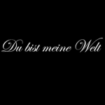 Du bist meine Welt