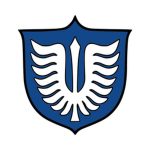Hawk Store