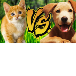 PUPPIES V.S Kittens