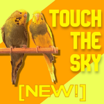 Touch The Skie