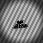 Met's Fan Group