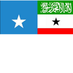 Somali Nation