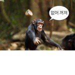 암석들 그룹