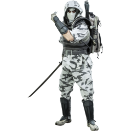 AssAssin training