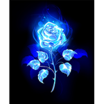 Blue,roses