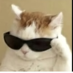 Grupinho do Catzin