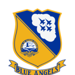 ~ |I Blue Angels U.S. Navy I| ~
