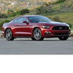 ford mustang fan club