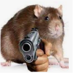 Olivia’s fellow rats