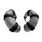 (鬼) White Cursed Oni Horns