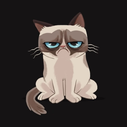grumpy-cat-cartoon Roblox decal