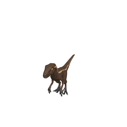 Raptor