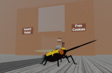 The Insect World