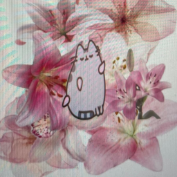 ˃◡˂