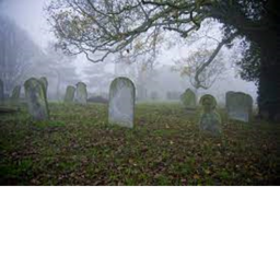 The graveyard