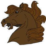 The Horse "Neigh"tion
