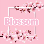 BloomingBlossoms