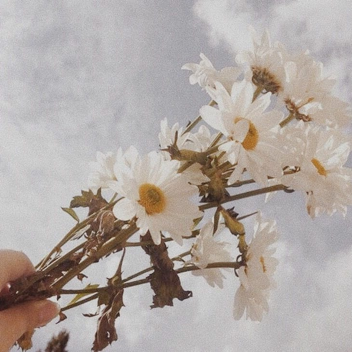 oh darling,