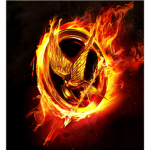 hunger games!!!!!