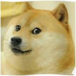 Doge Dominators