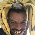 Cr767009 and robot doge