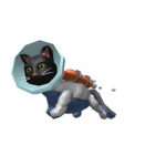 Rocket Cat Squad