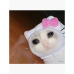 * no *