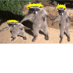 bananaRB fan club