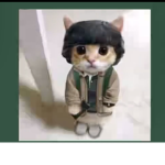 The kitty squad is cool