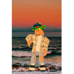 SunsetBradley