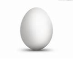 The Eggverse
