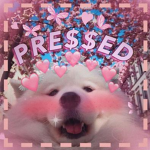 PRE$$ED