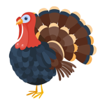 Turkey School