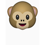 Wonky Monkey