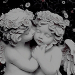 MY LOVELY DAISYS