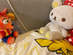we luv bear and deeno And miffy