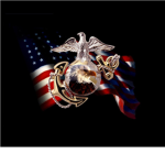 US Navy