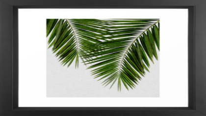 black framed palm leaves Roblox decal
