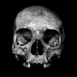 The Mad Skull
