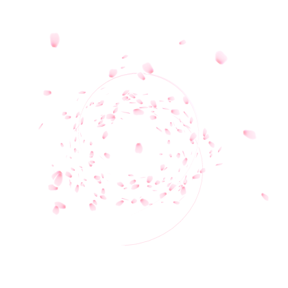 🌸 Sakura Blossom