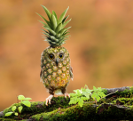 many pineapples