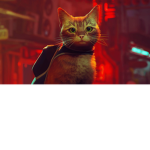 Adoradores do gato de stray