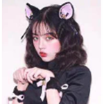 E-Kitten Donation Service