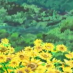 🌻