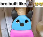 Doggo play room