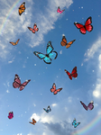 ~~Butterflies~~
