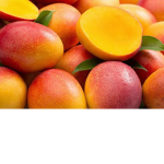 Mango Army!!! <3