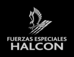[GH] Grupo Halcón