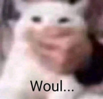 KEEGSTAR