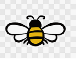 obby of BEES
